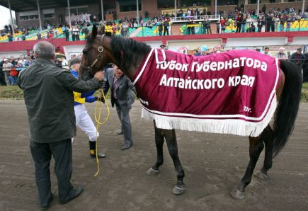 «Им можно любоваться как картиной!»