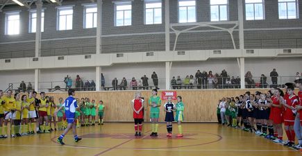 Прошли первые матчи зимнего первенства Лиги хоккея на траве Алтайского края по индорхоккею.