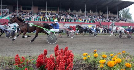 «Им можно любоваться как картиной!»