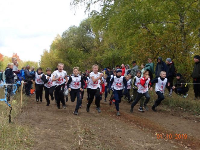 В кроссе «Золотая осень» приняли участие все школы Новичихинского района