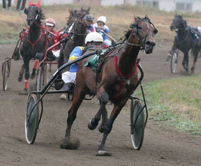 «Им можно любоваться как картиной!»