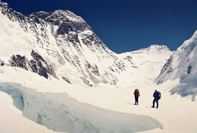 Восхождение с ромашкового поля