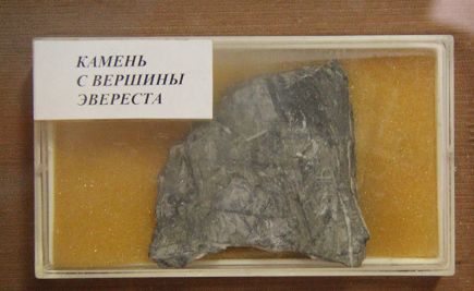 Восхождение с ромашкового поля