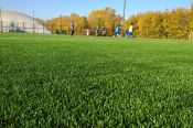 Благодаря федеральному проекту «Спорт - норма жизни» заменен искусственный газон в футбольной школе барнаульского «Динамо» 