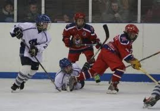 27-30 января. г.Камень-на-Оби. Краевой финал турнира "Золотая шайба" в старшей группе.