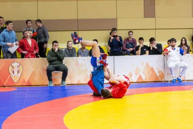 Фото: sambo.cap.ru