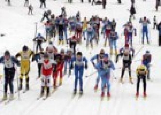 11-12 января. п. Тягун. Заринский район. I зимняя спартакиада детско-юношеских спортивных школ. Краевой этап.