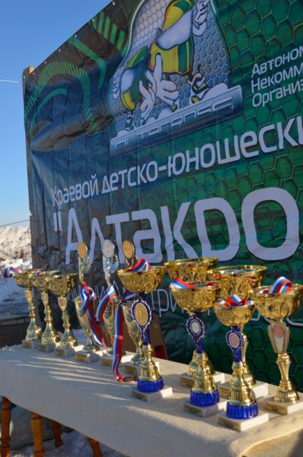 В Калманском районе состоялись первые в этом году сибирские соревнования по зимнему автокроссу (фото).