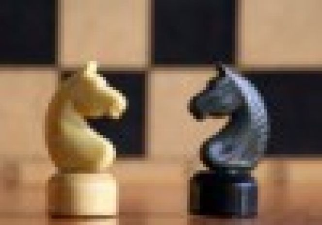 17-25 января. Барнаул. Краевой шахматный клуб. Чемпионат края среди ветеранов по классическим шахматам.