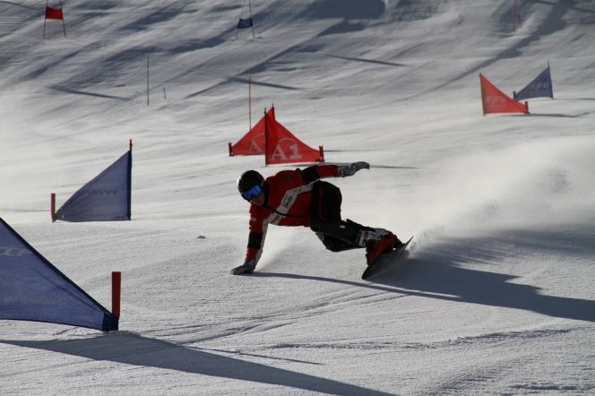 Андрей, не робей! 
