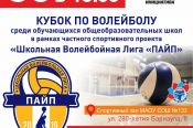 30 ноября в барнаульской школе №133 пройдёт пилотный турнир Школьной волейбольной лиги «ПАЙП»