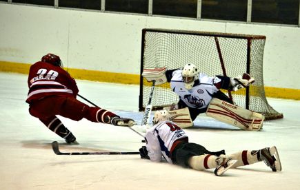 Откуда крылья растут