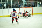 Новогодний турнир по хоккею «Снеговичок 2011»