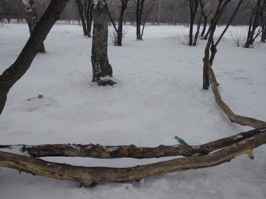 Строим ФОК. Деревья пересаживаем