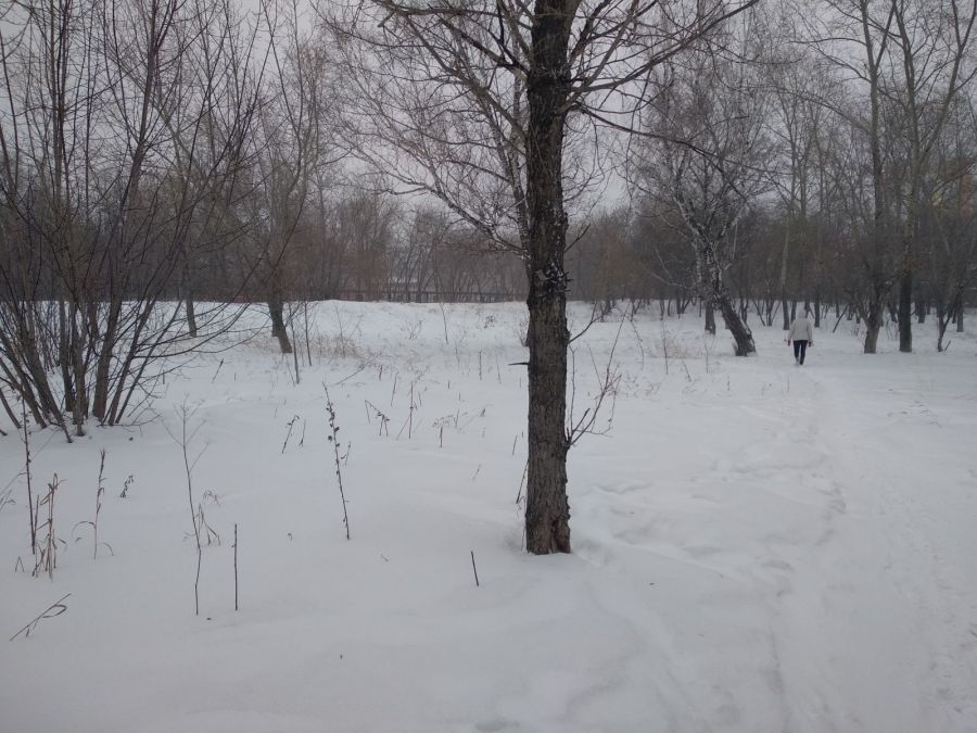 Строим ФОК. Деревья пересаживаем