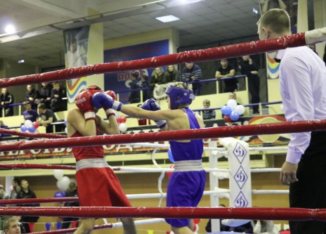 Всероссийский фестиваль бокса, посвящённый памяти погибших сотрудников УФСБ по Алтайскому краю. Фото: Вадим Вязанцев.