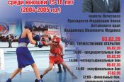 3-7 февраля. Барнаул. СК "Победа". Первенство Сибирского федерального округа по боксу среди юношей 15-16 лет