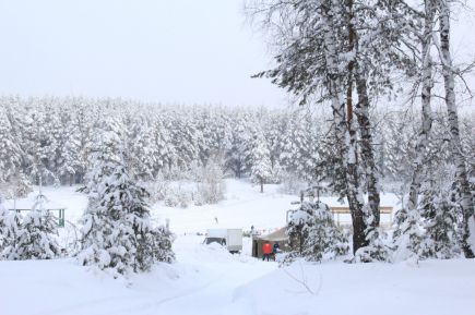 Спортивная жизнь не угаснет!