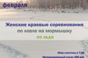 9 февраля. с. Шахи Павловского района. Краевые соревнования среди женщин по ловле на мормышку со льда