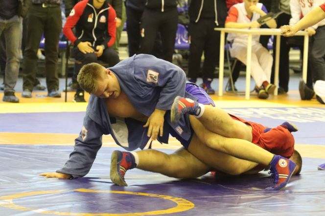 Четверо алтайских борцов стали победителями мастерских Всероссийских соревнований памяти Валерия Метелицы