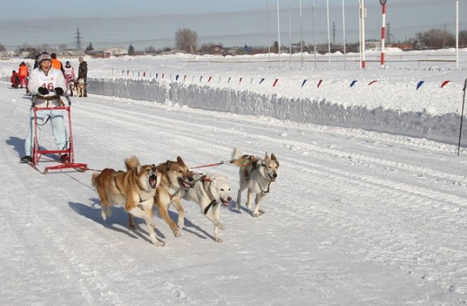 Фото Ярослава Махначёва