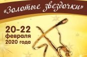 20-22 февраля. Барнаул. СК "Обь". Краевые соревнования "Золотые звёздочки"