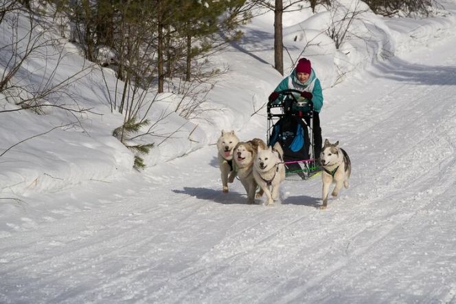 Среди победителей и призеров горной гонки "По седому Алтаю" 10 представителей Алтайского края (много фото)