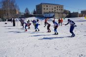 В Заринске состоялось первенство Алтайского края по лыжным гонкам в зачёт 40-й спартакиады спортшкол края 