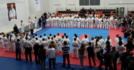 Алтайские спортсмены завоевали девять медалей на первенстве России по каратэ киокушинкай.