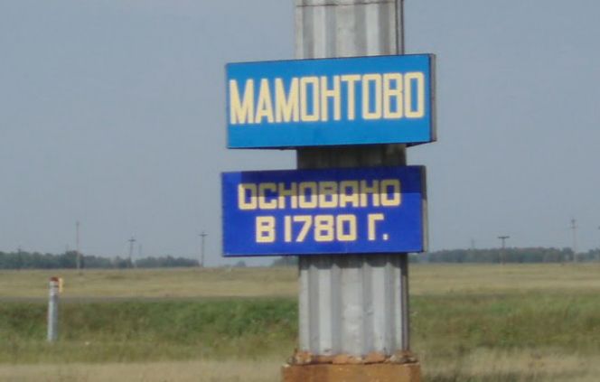 Проект календаря отборочных соревнований  XLII летней олимпиады сельских спортсменов Алтайского края «Мамонтово-2020»