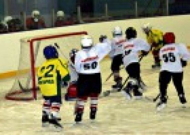 8 мая. Барнаул. Дворец зрелищ и спорта. Спортивно-культурный праздник "Кубок Победы". 