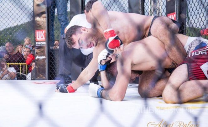 Профессиональный боец из Бийска Ниджат Шукюров: ММА – спорт сильных духом