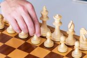Шахматисты Алтая провели блиц-разминку в Интернете