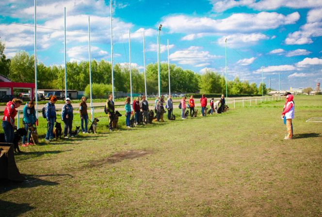 На алтайском ипподроме состоялись соревнования по спортивно-прикладному собаководству "Хвостатый полк" (фото).