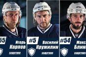 Итоги сезона первенства ВХЛ. ХК «Динамо-Алтай». Часть III. Защитники