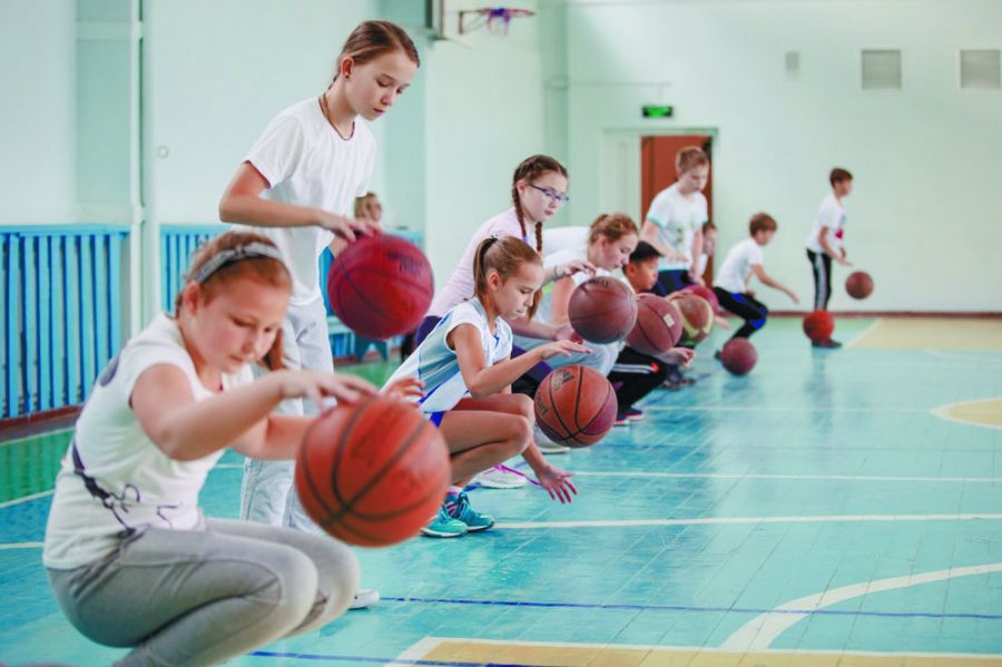 Осознанный подход.  Для увеличения числа занимающихся спортом нужна не кампанейщина, а действия, основанные на понимании ситуации