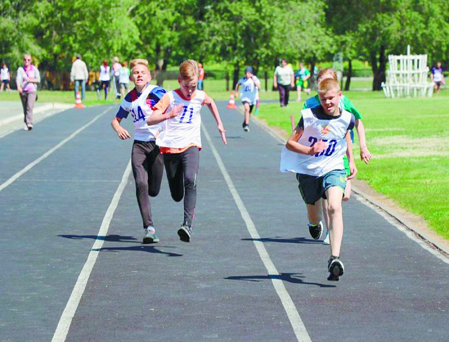 Осознанный подход.  Для увеличения числа занимающихся спортом нужна не кампанейщина, а действия, основанные на понимании ситуации