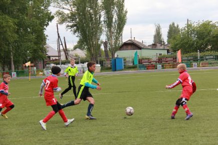 Трава - искусственная, радость - настоящая!