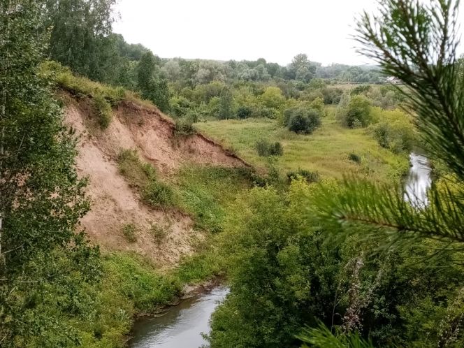 Барнаульский клуб любителей бега «Восток» 19 сентября проведёт контрольную тренировку «Жилино-трейл»