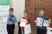 Восемь юных шахматистов края стали победителями и призерами фестиваля «Маэстро-2020» в Новосибирске
