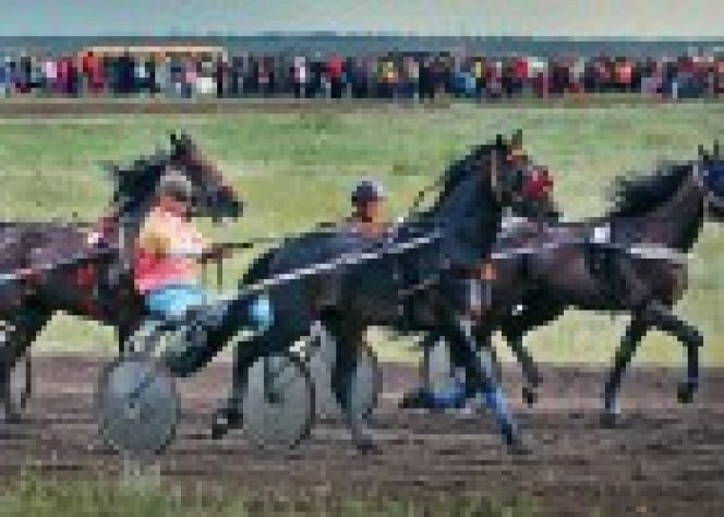 26-29 июня. с. Поспелиха. Финальные соревнования XXXVI летней Олимпиады сельских спортсменов Алтая.