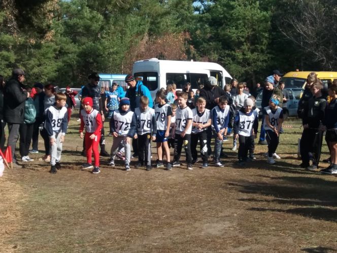 В Родино состоялись межрайонные соревнования по ОФП юных лыжников