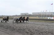 На барнаульском ипподроме состоялось «Закрытие бегового сезона–2020»