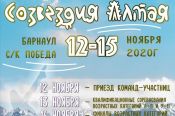 13-15 ноября. Барнаул. СК "Победа". Межрегиональные соревнования «Созвездия Алтая»