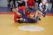 Более 200 борцов разыграли медали чемпионата и первенства края в рамках празднования Дня самбо (много фото)