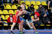 Борцы Алтайского края успешно выступили на чемпионате Сибирского федерального округа 