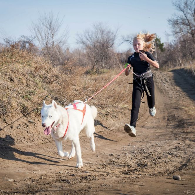 В Барнауле определились призеры онлайн-гонки "Каникросс-2020"
