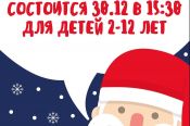 30 декабря.  Барнаул. ЛБК Алтайского училища олимпийского резерва. Бэби-гонка на призы Деда Мороза