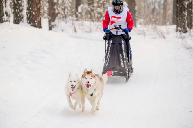 Алтайские спортсмены стали призерами «Рождественского заезда-2021»