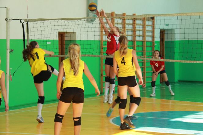 В Алейске прошел традиционный краевой турнир по волейболу памяти Сергея Старовойтова. 